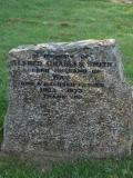 image of grave number 855376